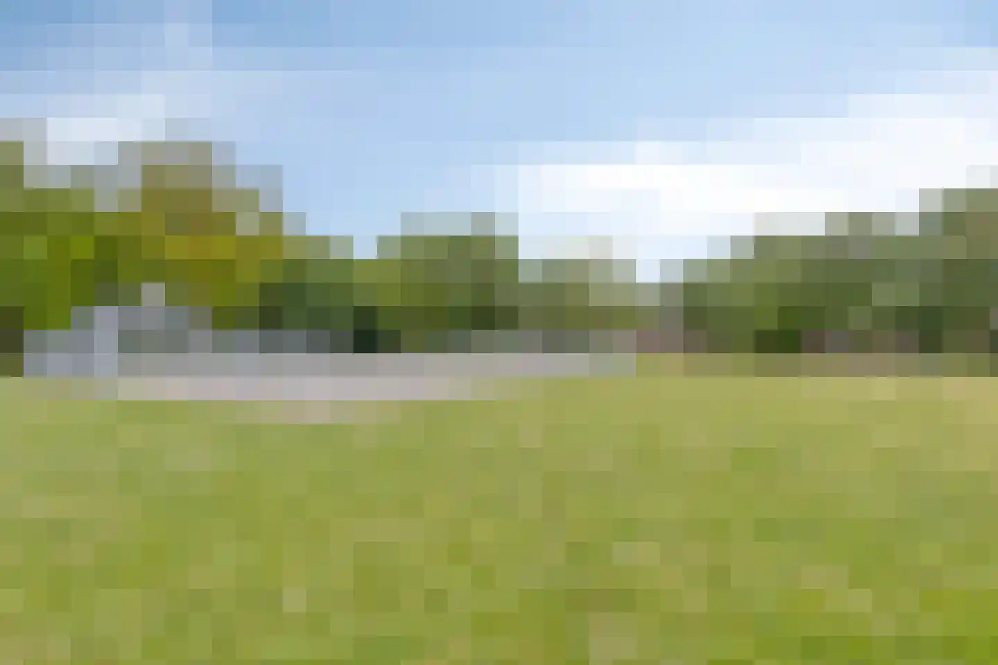 Berenkuil 13 Cuijk thumbnail 42