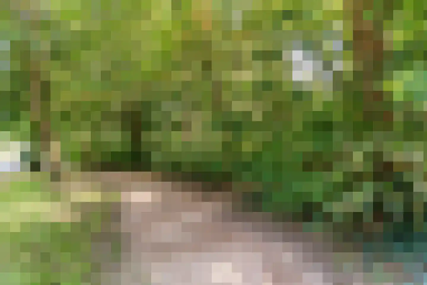 Berenkuil 23 Cuijk thumbnail 25