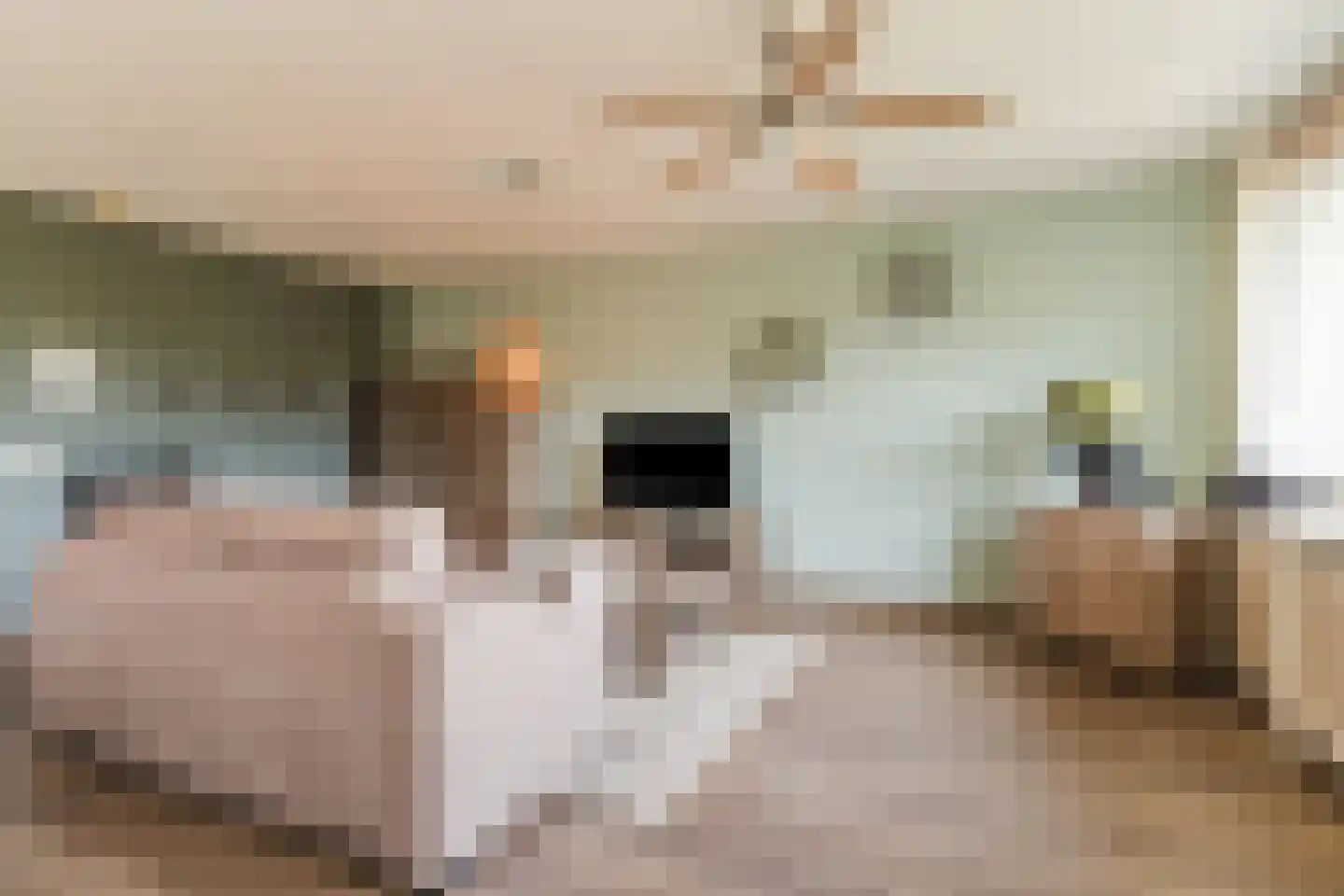 Berenkuil 23 Cuijk thumbnail 7