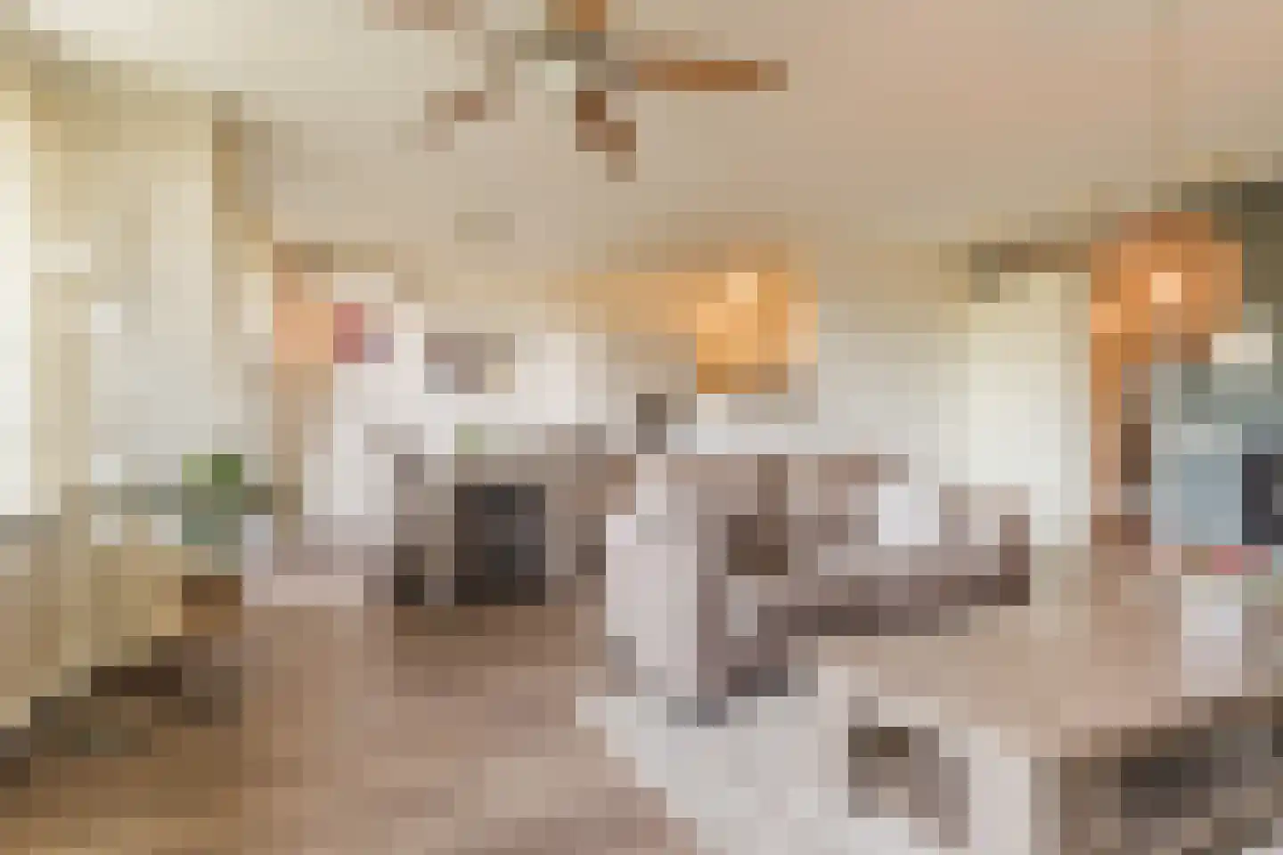 Berenkuil 23 Cuijk thumbnail 9
