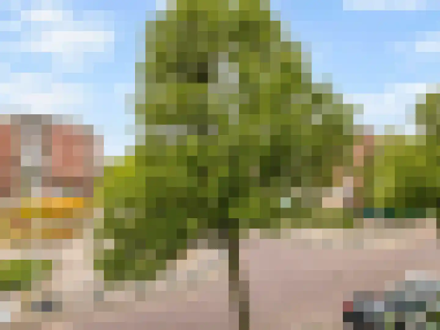 Berenrade 1 D Den Haag thumbnail 33