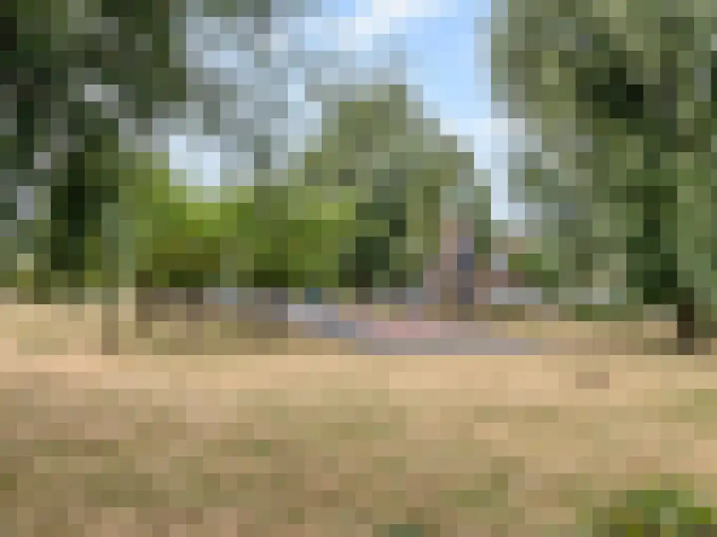 Berenrade 1 D Den Haag thumbnail 43