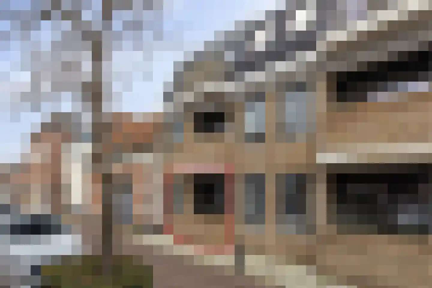 Berenstraat 21 a Steenbergen thumbnail 5