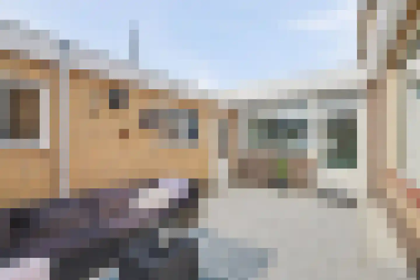 Berenstraat 22 Steenbergen thumbnail 36