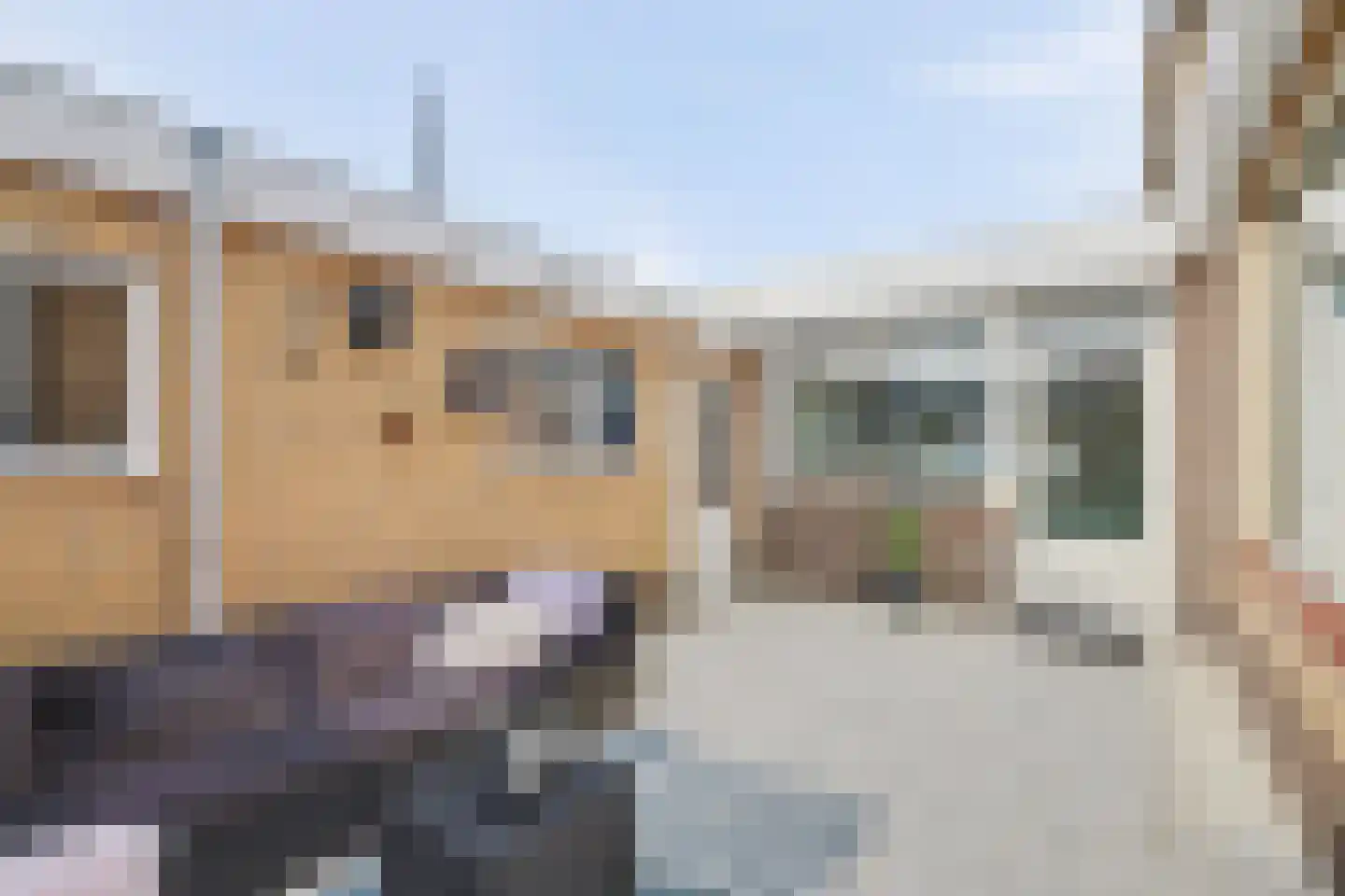 Berenstraat 22 Steenbergen thumbnail 36