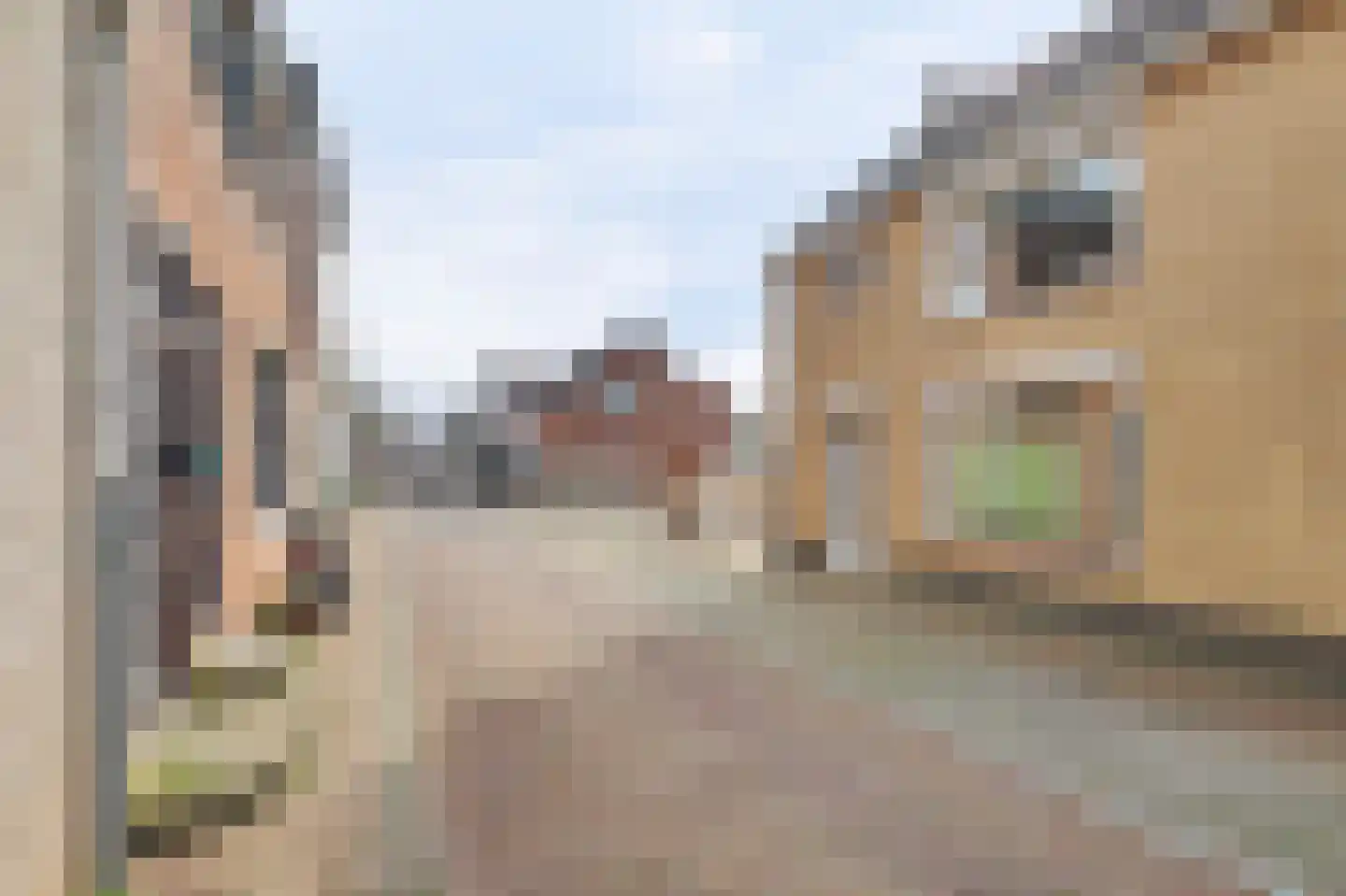 Berenstraat 22 Steenbergen thumbnail 45