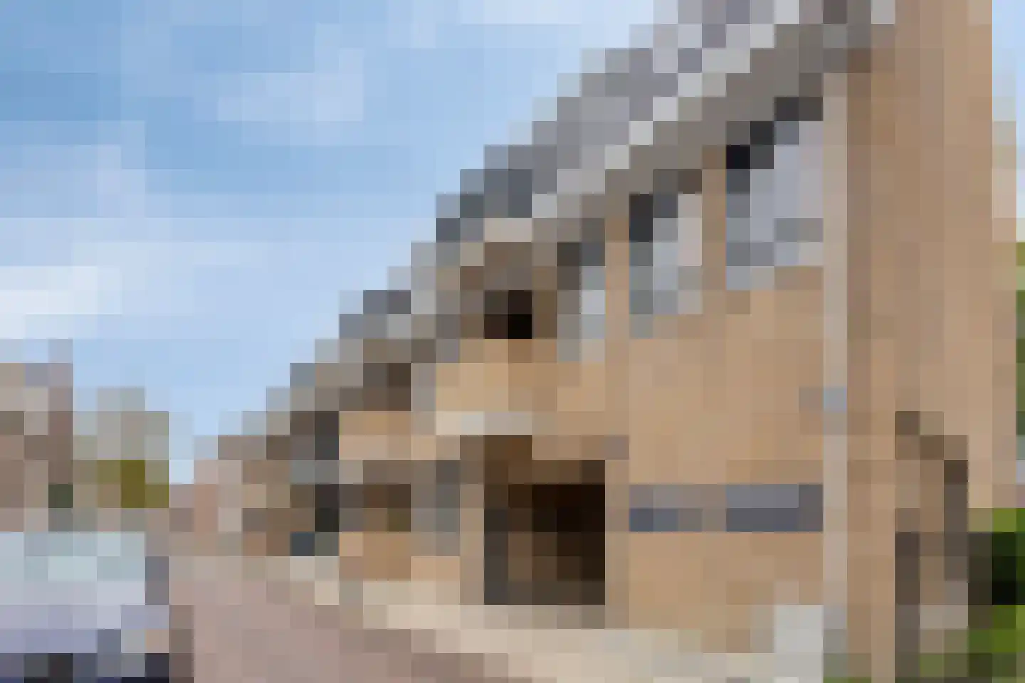 Berenstraat 23 d Steenbergen thumbnail 10