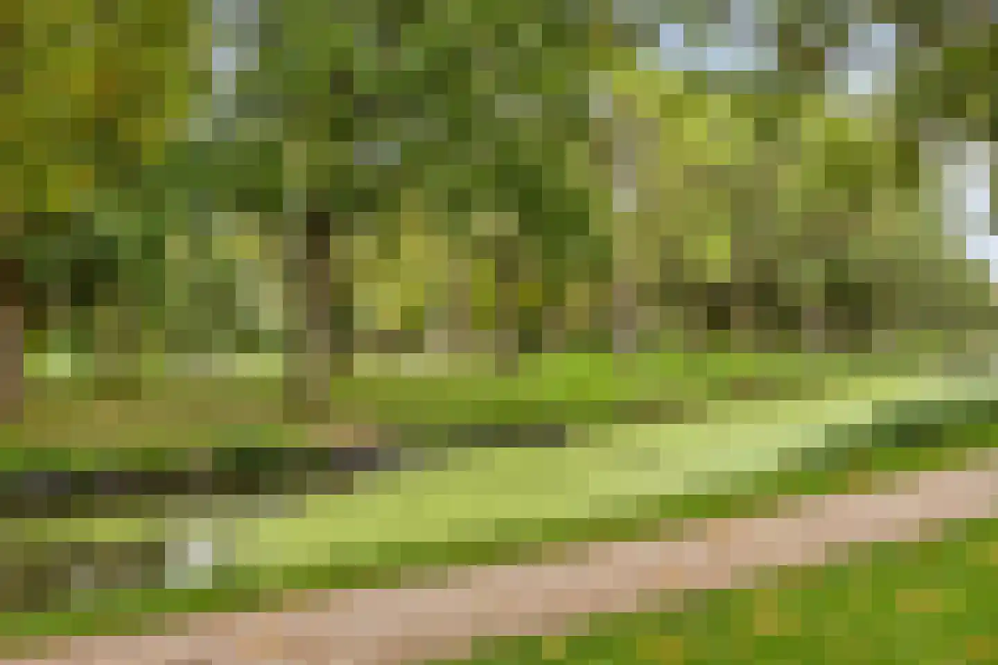 Berenstraat 23 d Steenbergen thumbnail 31