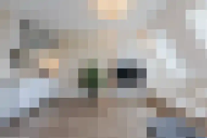 Berenstraat 25 e Steenbergen thumbnail 13