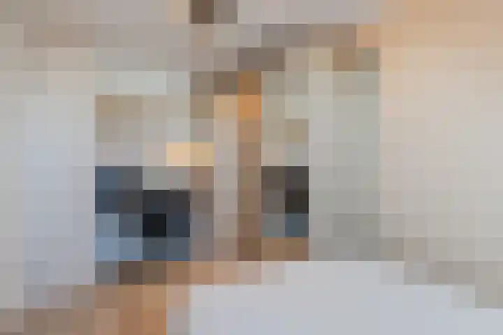 Berenstraat 25 e Steenbergen thumbnail 25