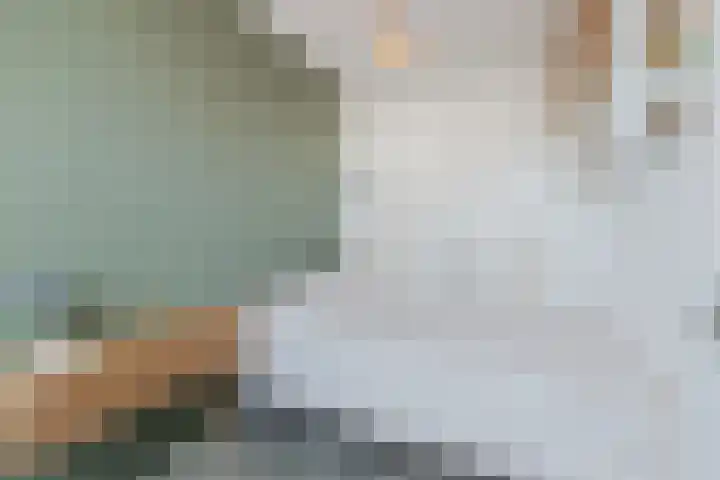 Berenstraat 25 e Steenbergen thumbnail 27