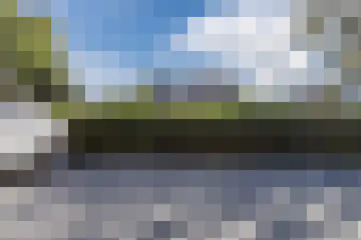 Berenstraat 25 e Steenbergen thumbnail 43