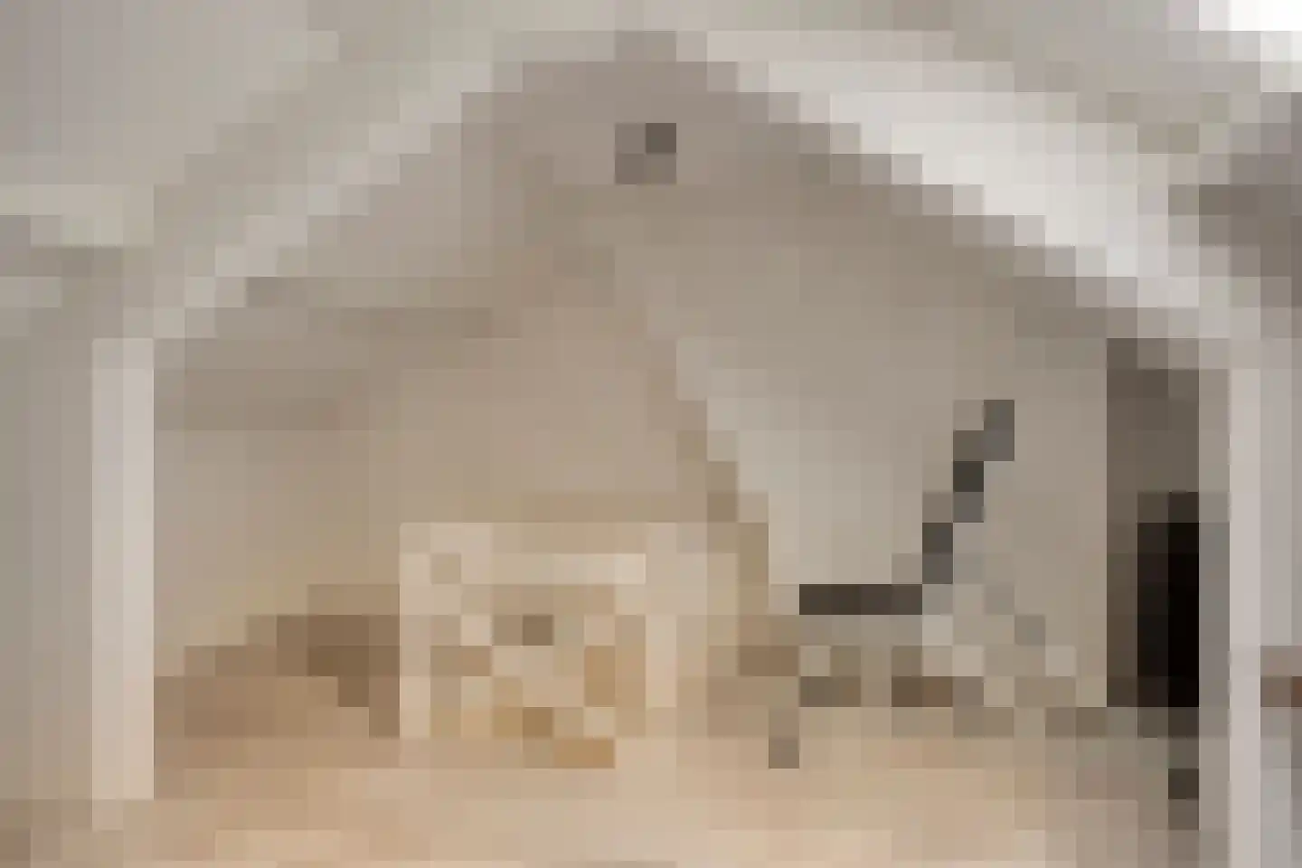 Berenstraat 37 Steenbergen thumbnail 26
