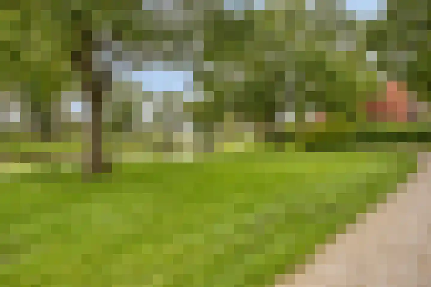 Berenstraat 37 Steenbergen thumbnail 32