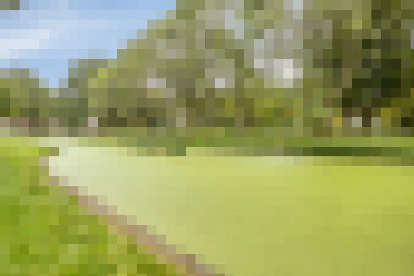 Berenstraat 37 Steenbergen thumbnail 33