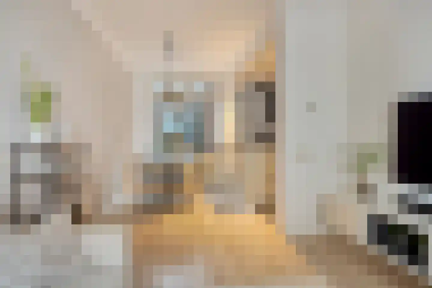 Berenstraat 37 Steenbergen thumbnail 4