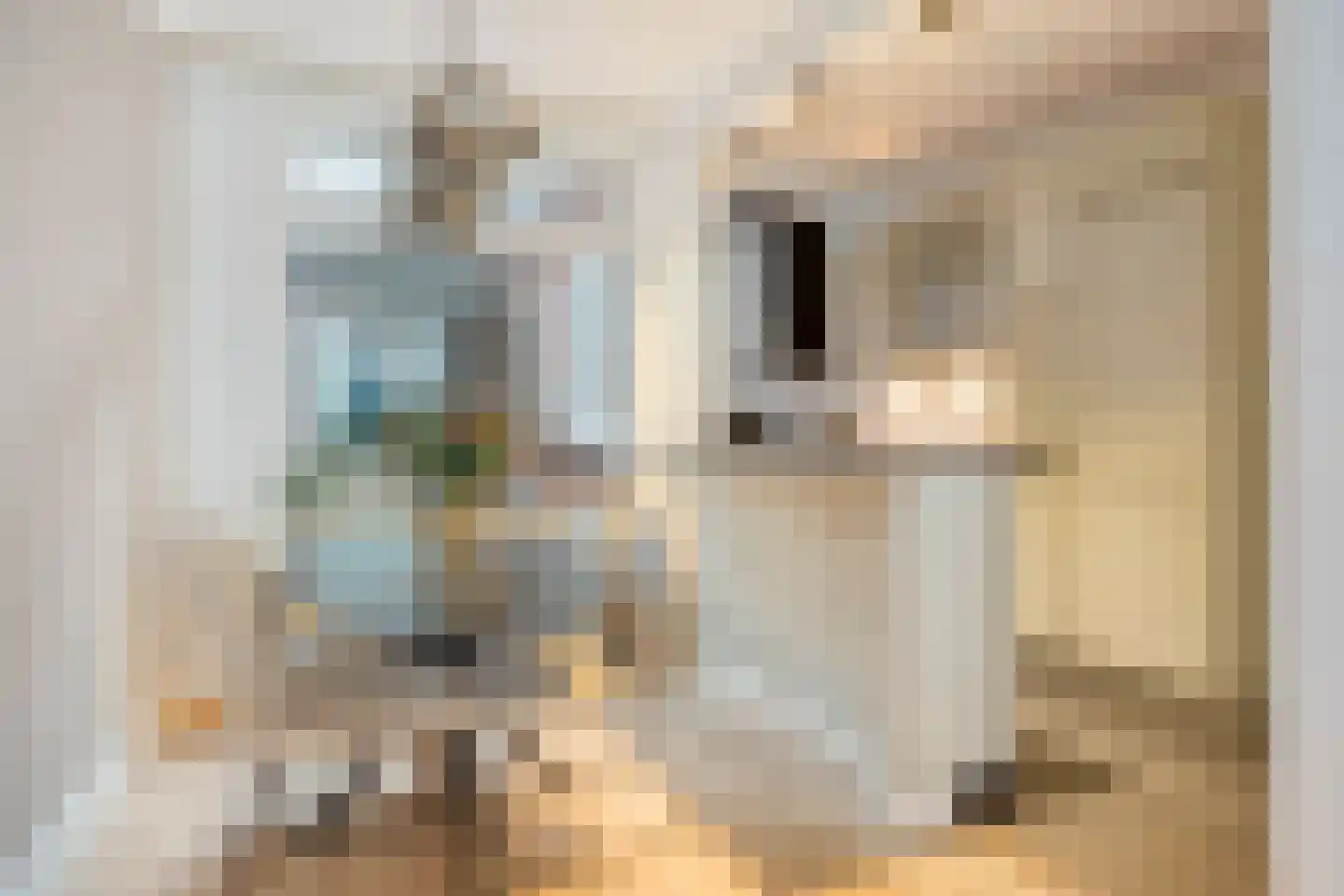 Berenstraat 37 Steenbergen thumbnail 5