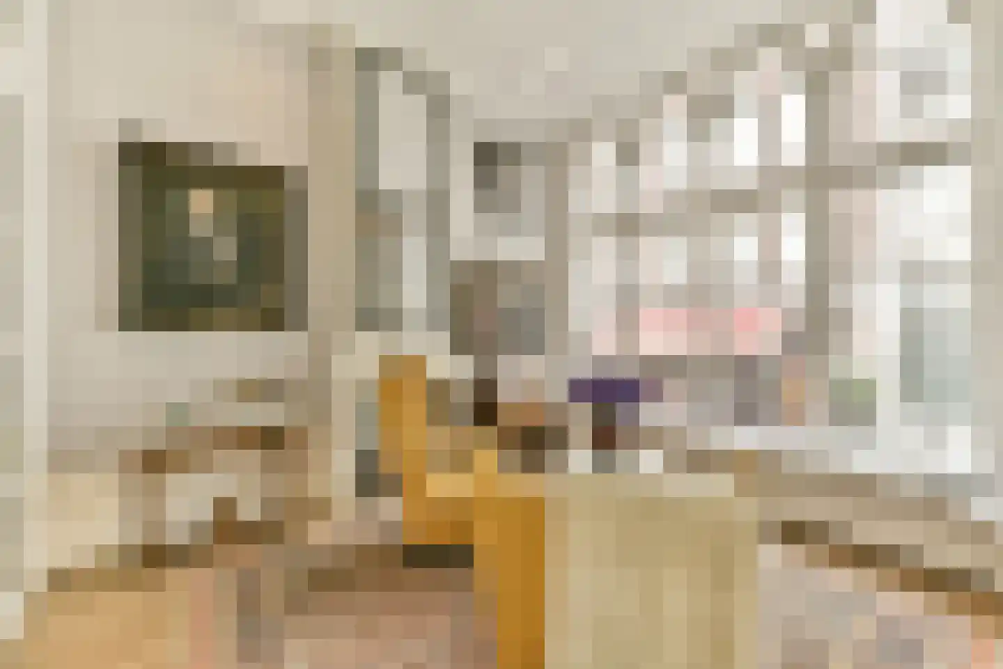 Berenstraat 7 Amsterdam thumbnail 10