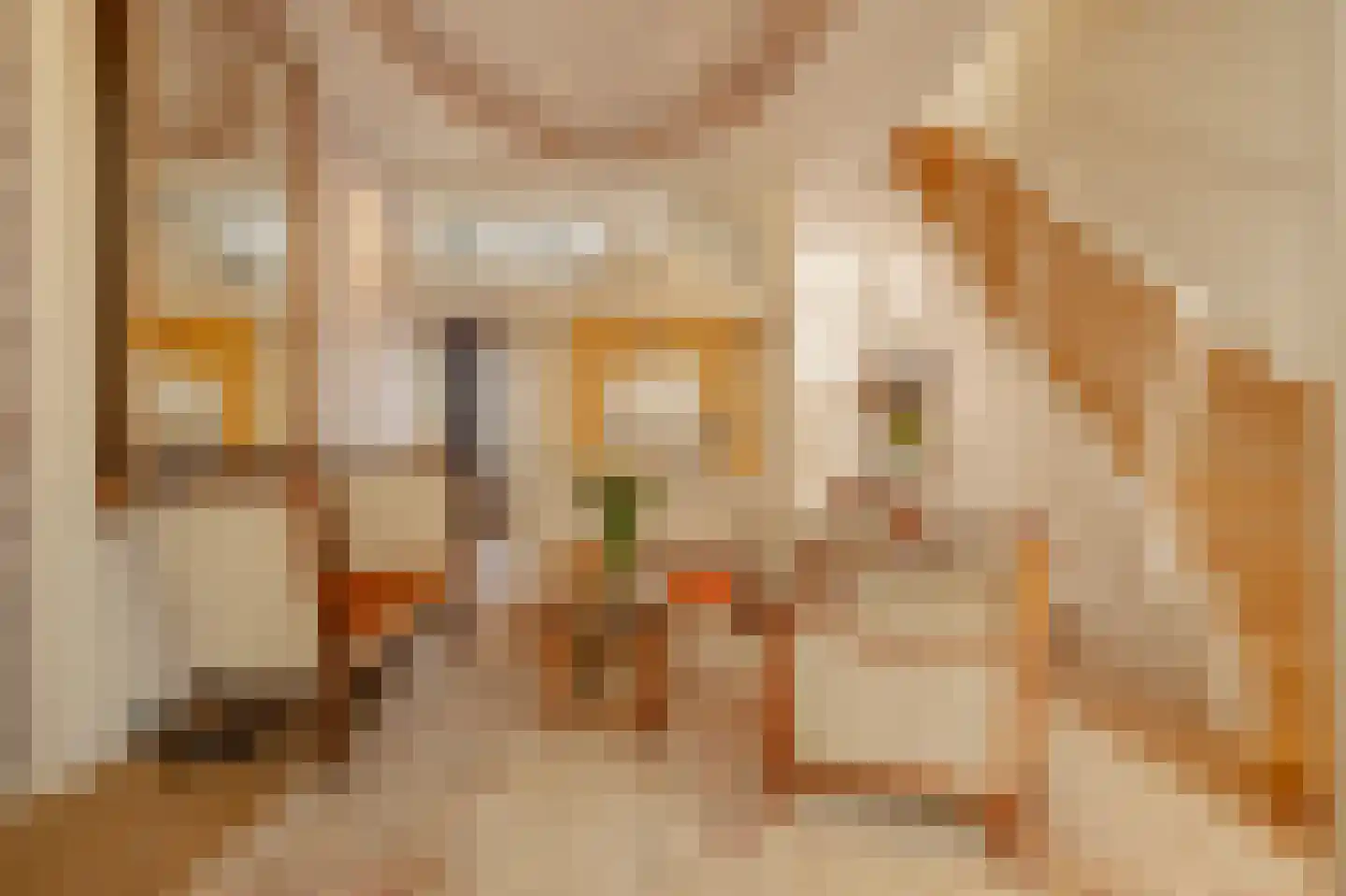 Berenstraat 7 Amsterdam thumbnail 15