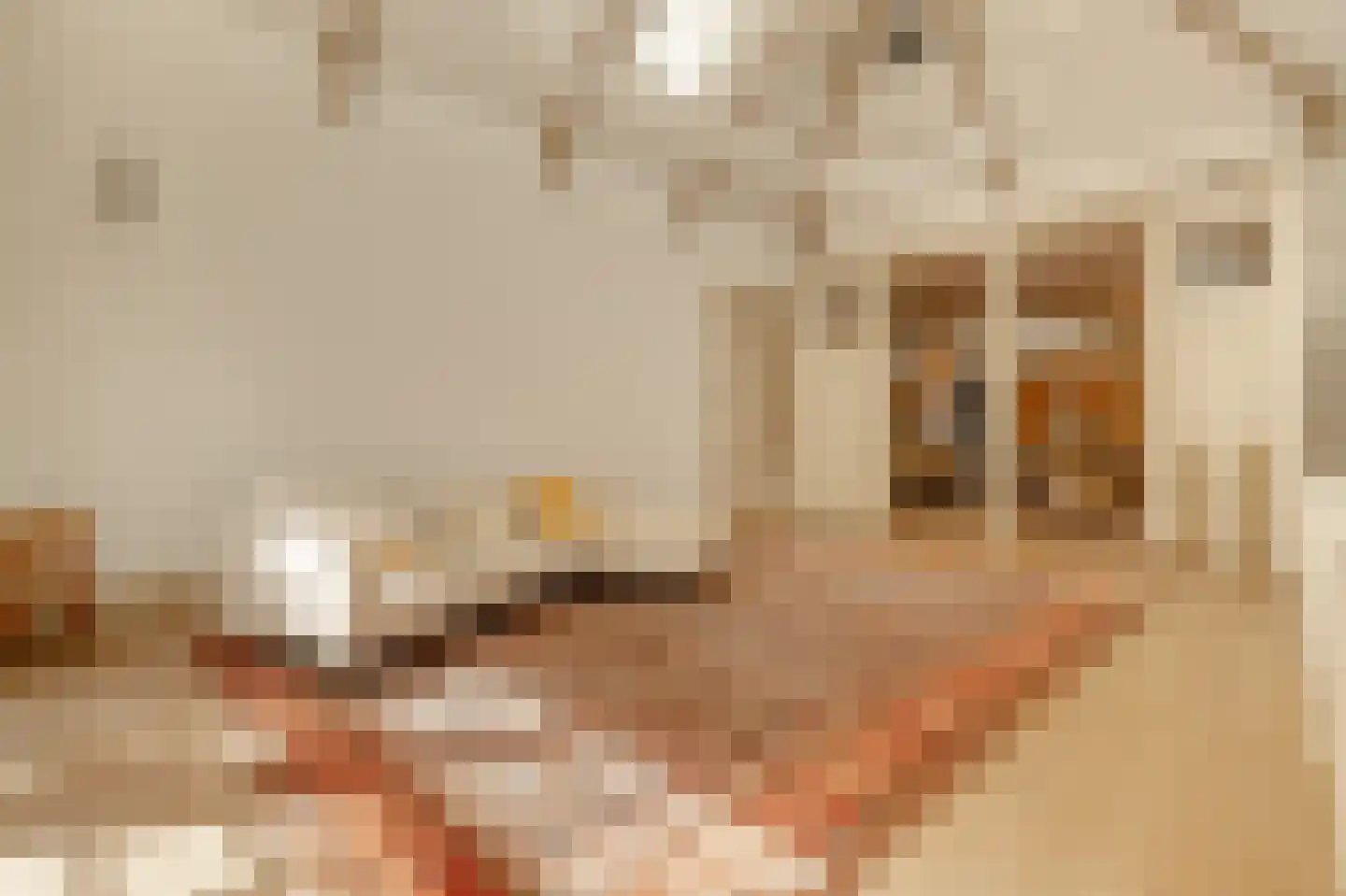 Berenstraat 7 Amsterdam thumbnail 20