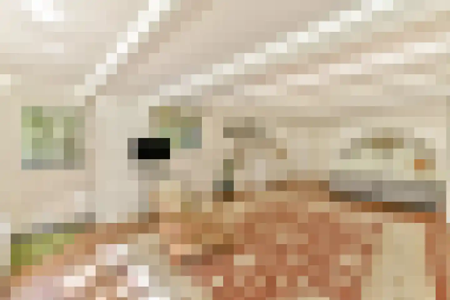 Berenstraat 7 Amsterdam thumbnail 34