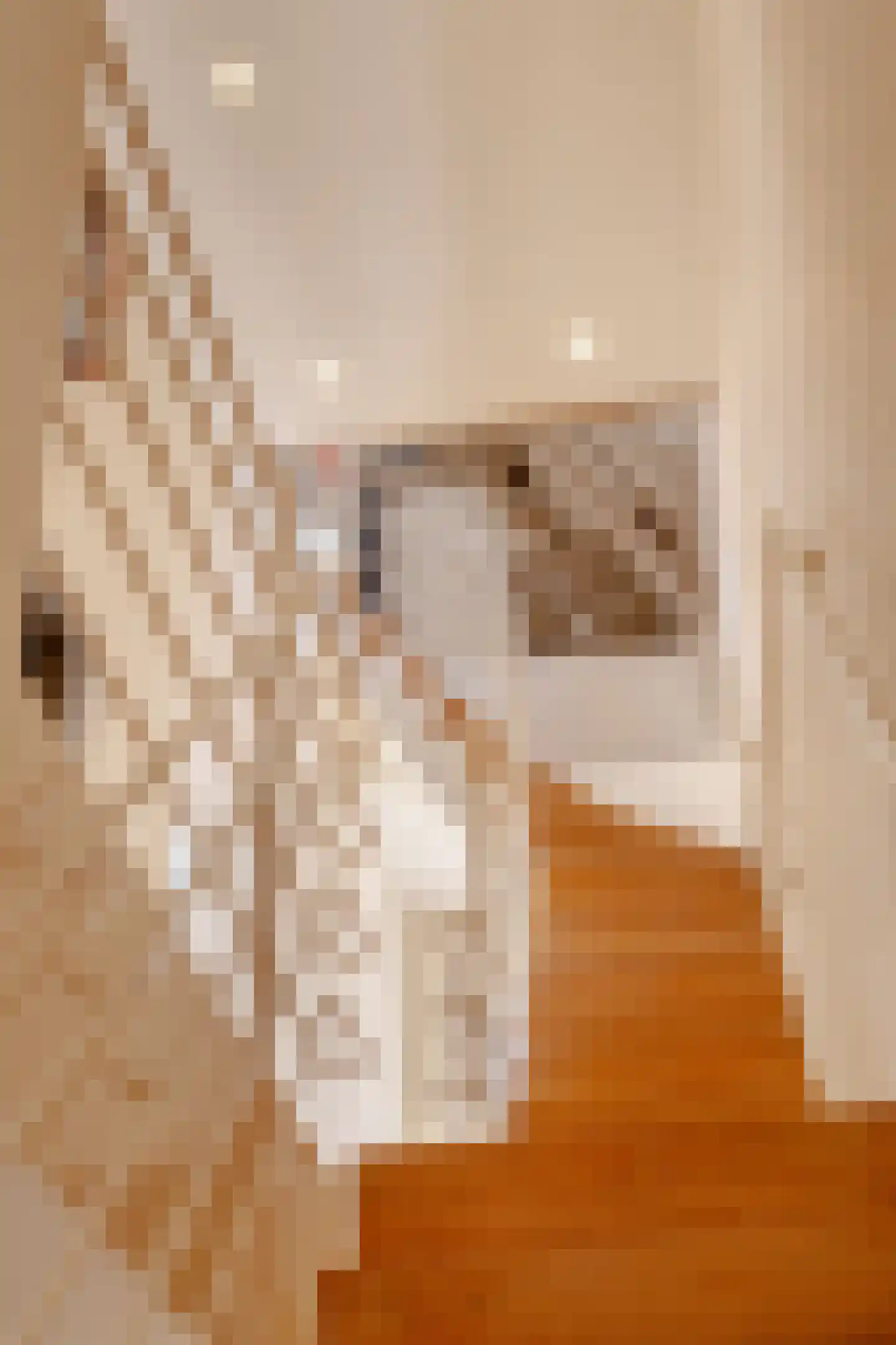 Berenstraat 7 Amsterdam thumbnail 37