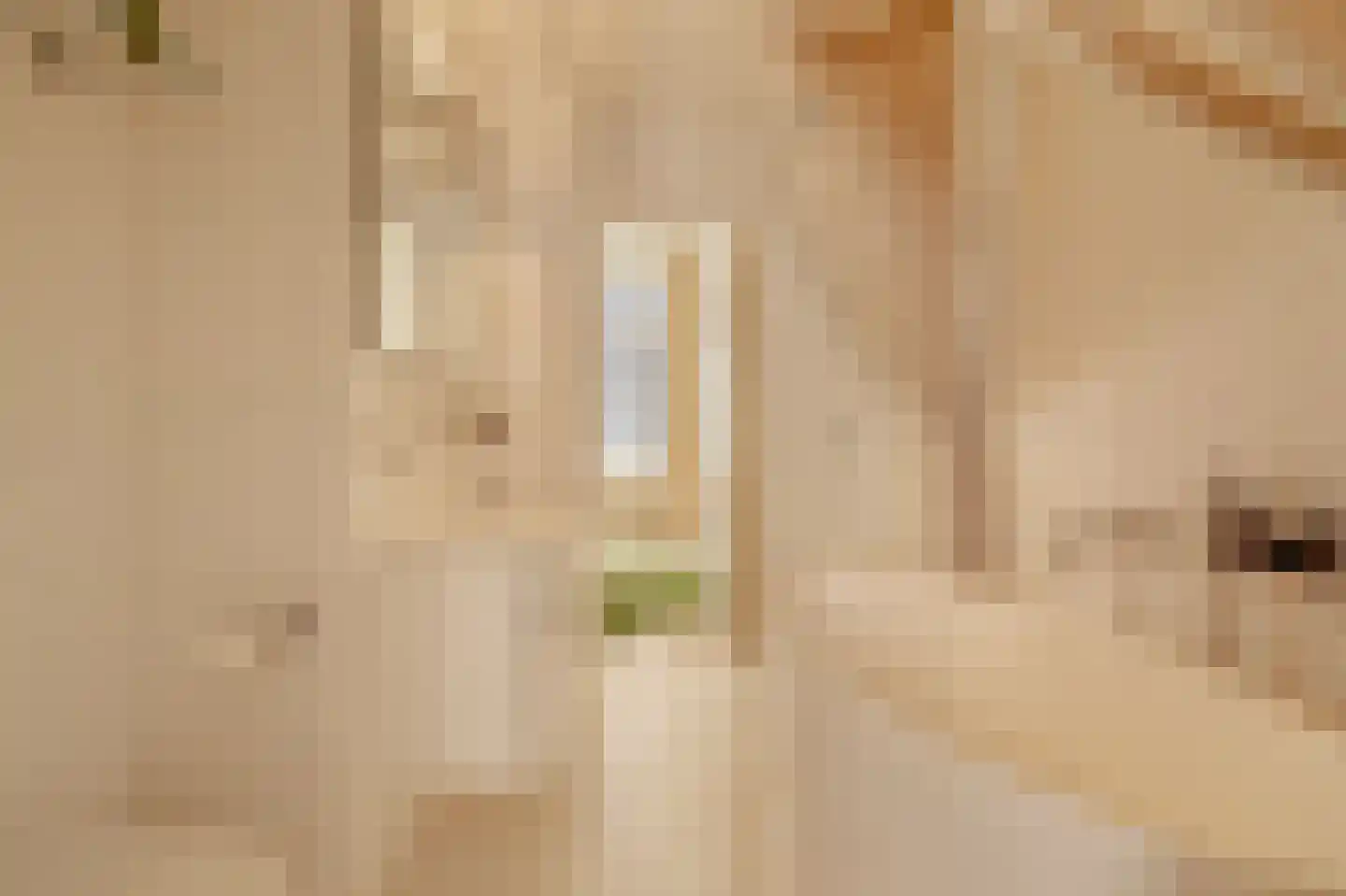 Berenstraat 7 Amsterdam thumbnail 41