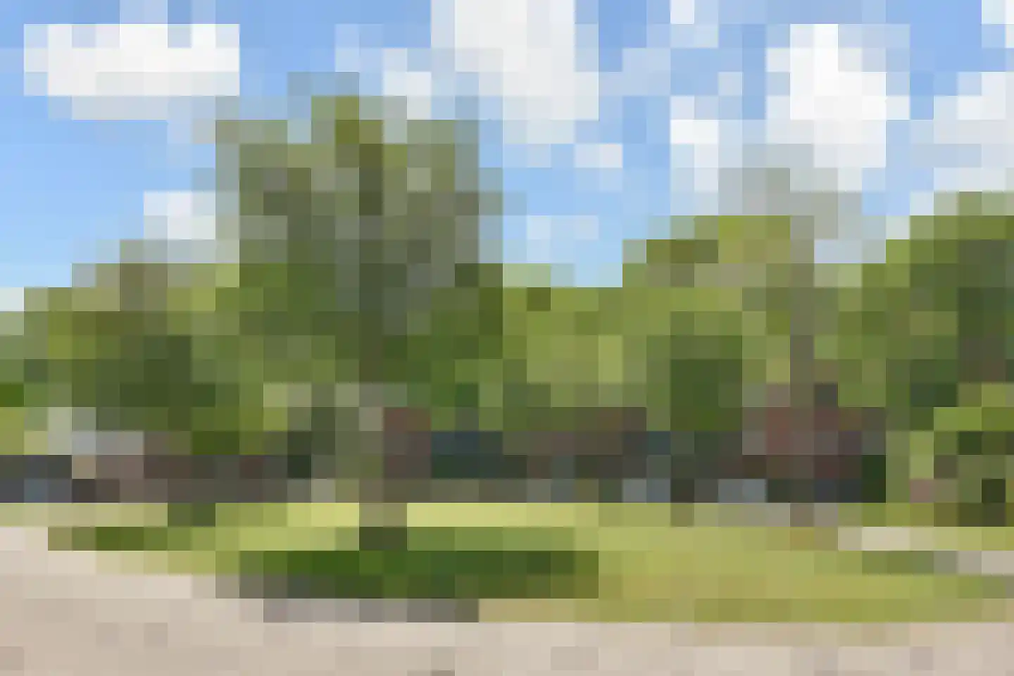 Beresteinlaan 373 Den Haag thumbnail 38