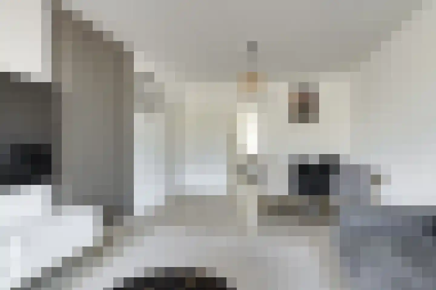 Beresteinlaan 439 Den Haag thumbnail 4
