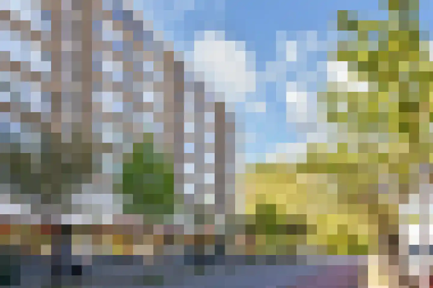Beresteinlaan 443 Den Haag thumbnail 35