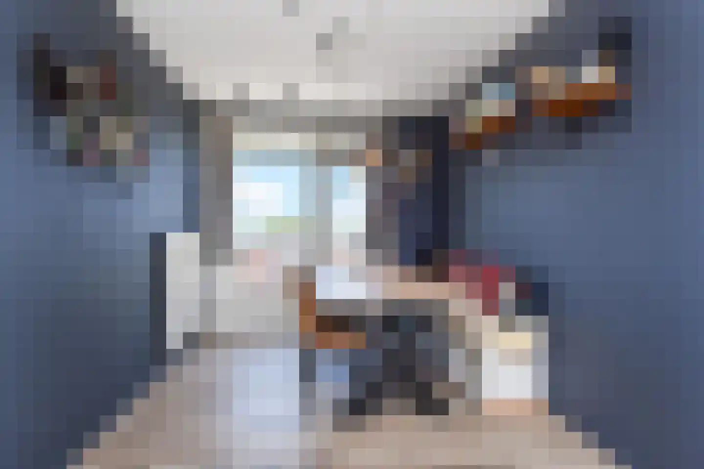 Beresteinlaan 443 Den Haag thumbnail 4