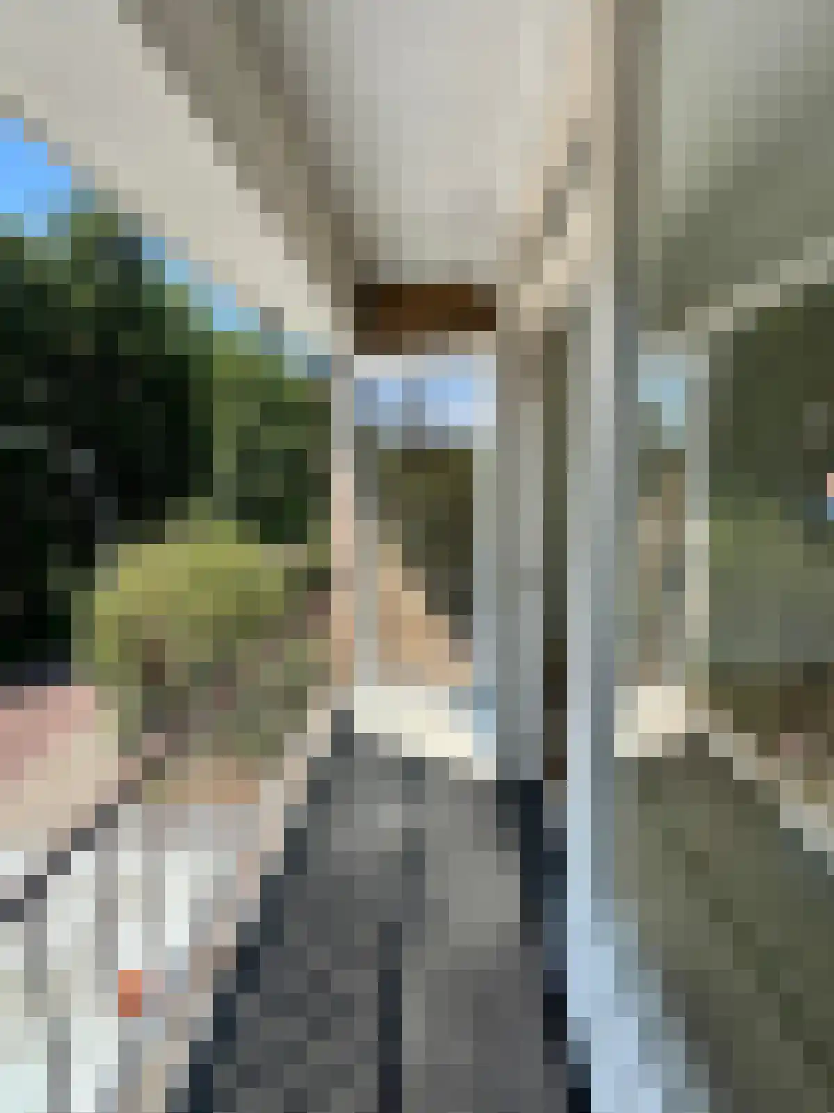 Beresteinseweg 54 Hilversum thumbnail 6