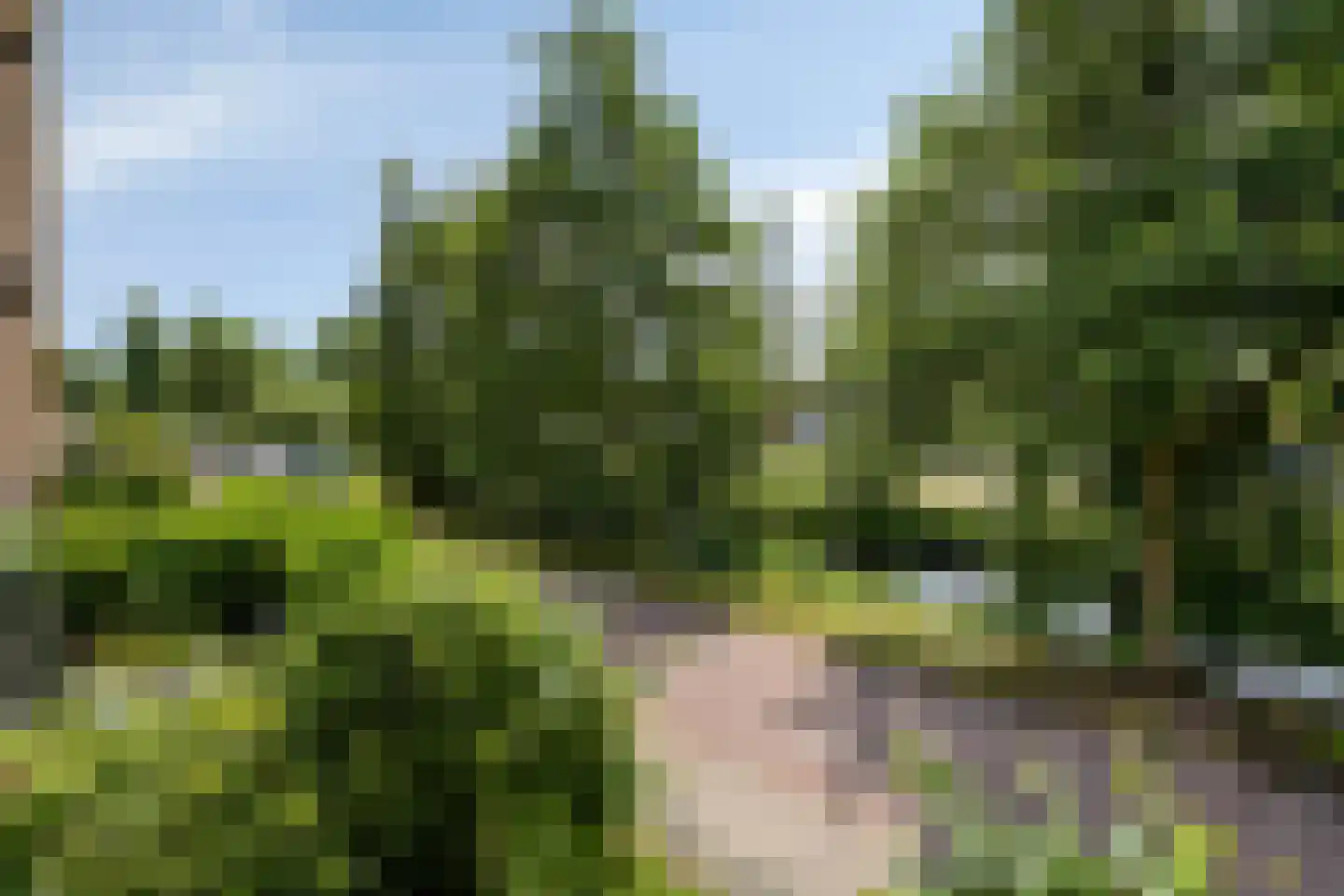 Beresteinseweg 62 Hilversum thumbnail 28