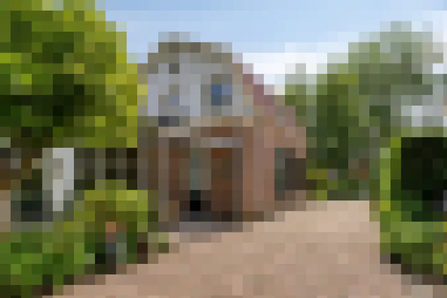 Beresteinseweg 62 Hilversum thumbnail 40