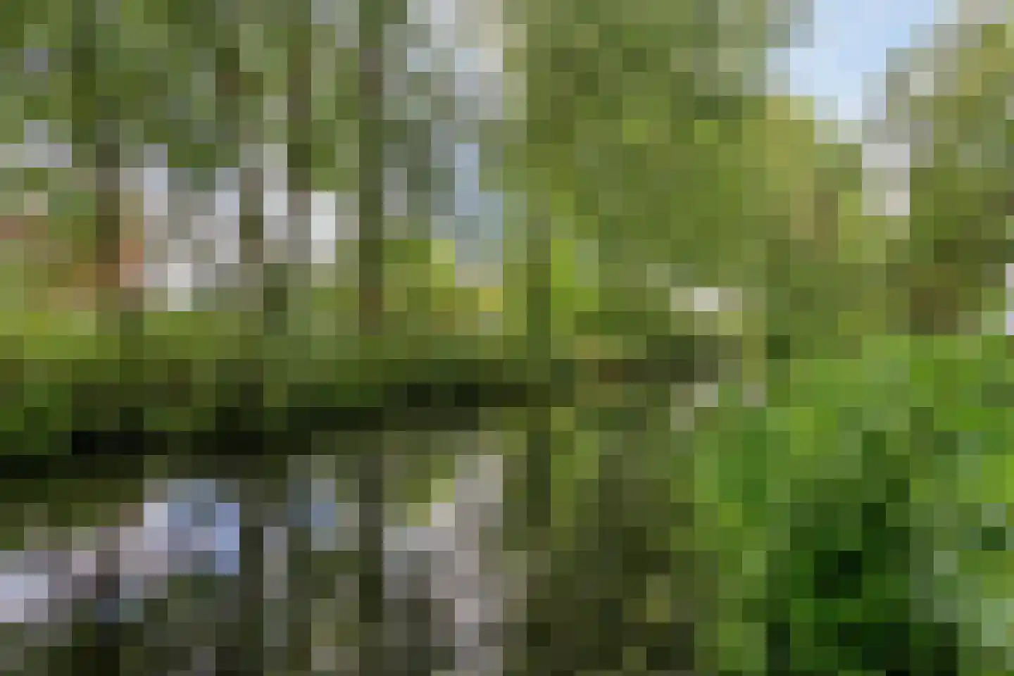 Beresteinseweg 62 Hilversum thumbnail 42