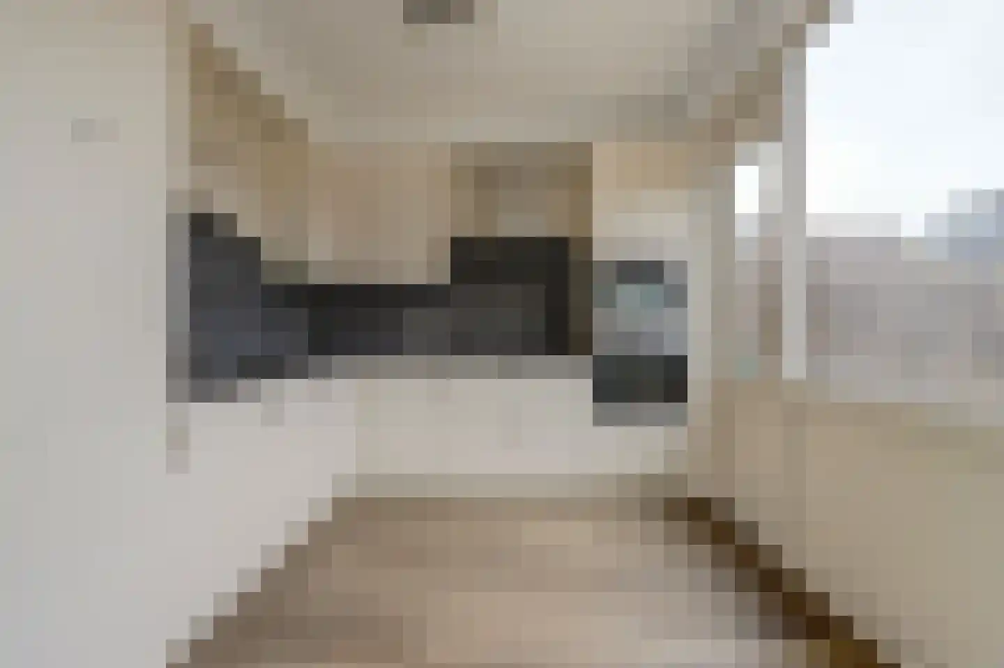 Beresteinweg 2 Geervliet thumbnail 4