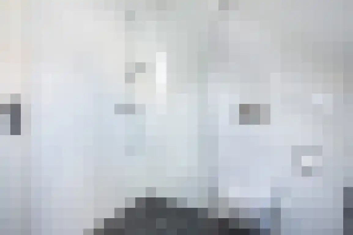 Beresteyn 10 Goedereede thumbnail 24