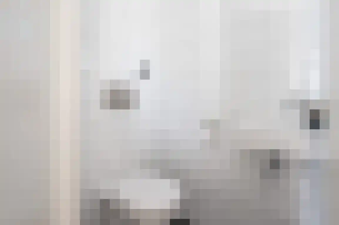 Beresteyn 10 Goedereede thumbnail 8