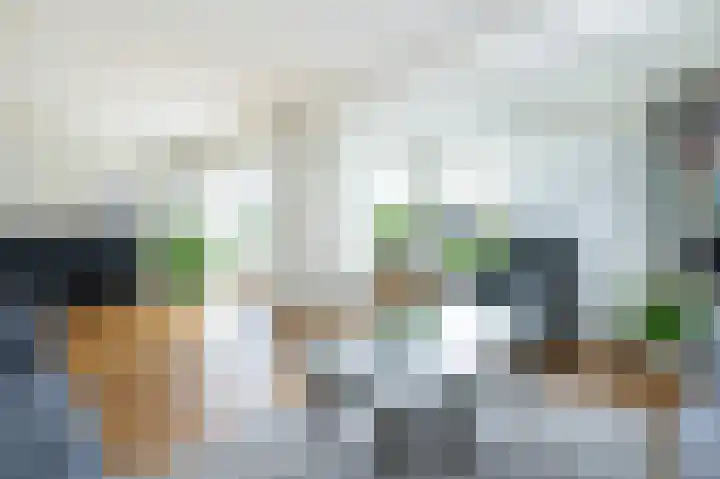 Beresteyn 3 Goedereede thumbnail 11