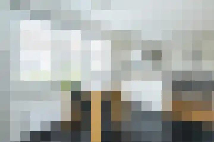 Beresteyn 3 Goedereede thumbnail 14