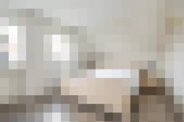 Beresteyn 3 Goedereede thumbnail 17