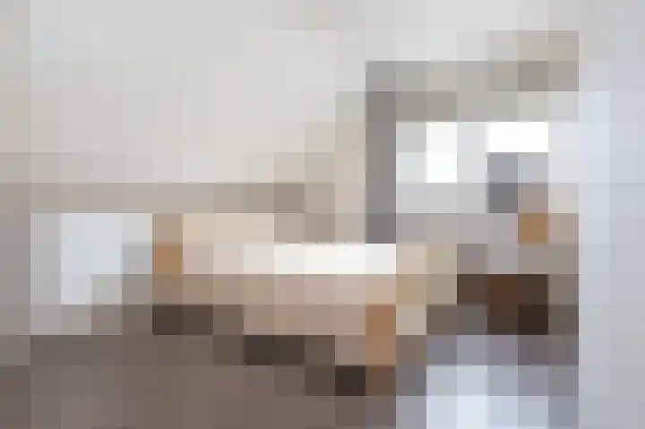 Beresteyn 3 Goedereede thumbnail 19