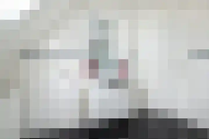 Beresteyn 3 Goedereede thumbnail 21