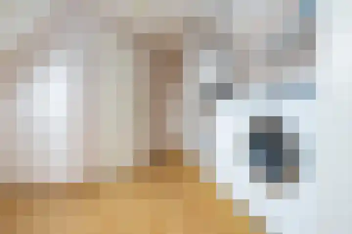 Beresteyn 3 Goedereede thumbnail 26