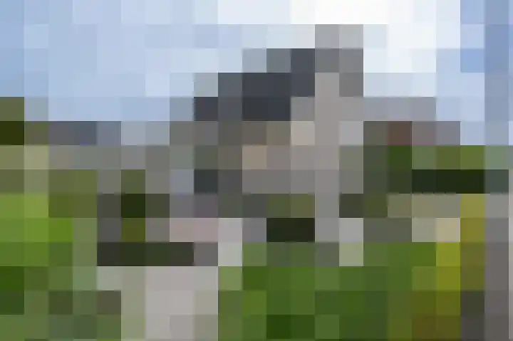 Beresteyn 3 Goedereede thumbnail 29