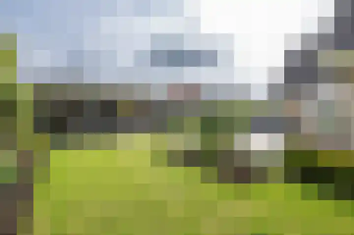 Beresteyn 3 Goedereede thumbnail 32