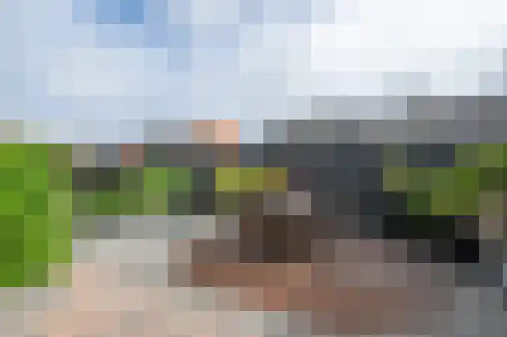 Beresteyn 3 Goedereede thumbnail 34