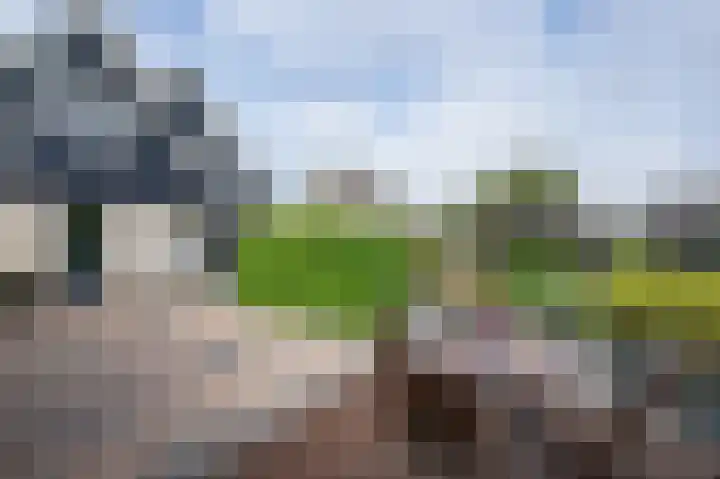 Beresteyn 3 Goedereede thumbnail 35