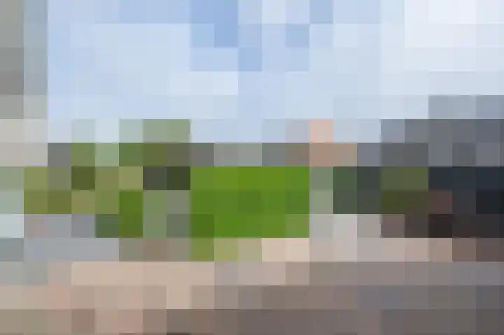Beresteyn 3 Goedereede thumbnail 36