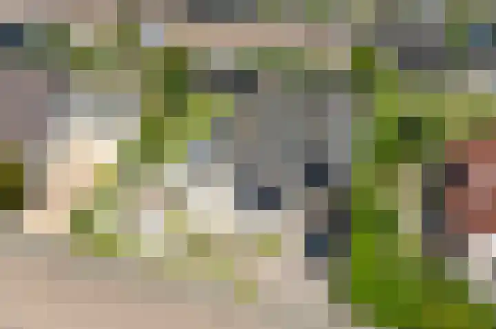 Beresteyn 3 Goedereede thumbnail 37